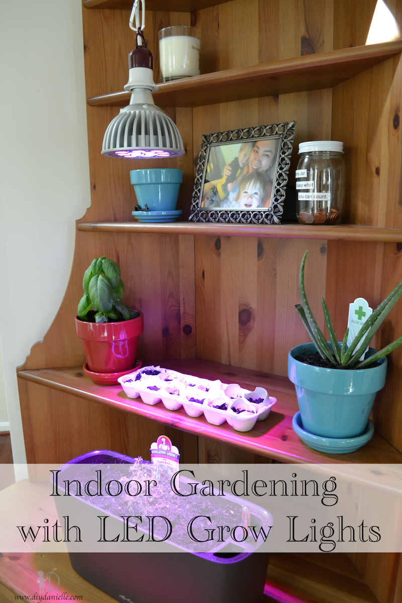 Indoor Gardening with LED Grow Lights from Grow Hobby
