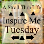 Inspire Me Tuesday