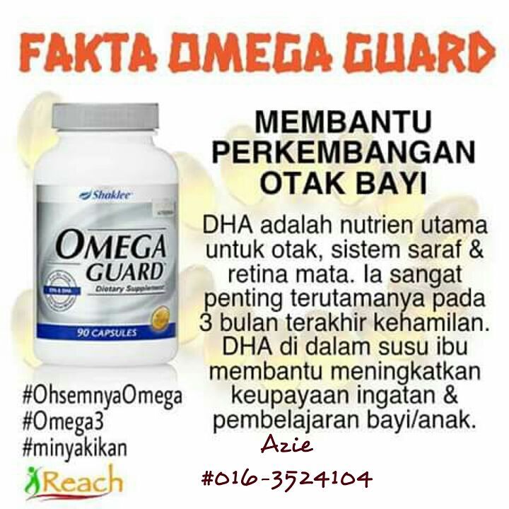 Omega 3 Yang Bagus Untuk Ibu Hamil Dan Nak Anak Cerdik