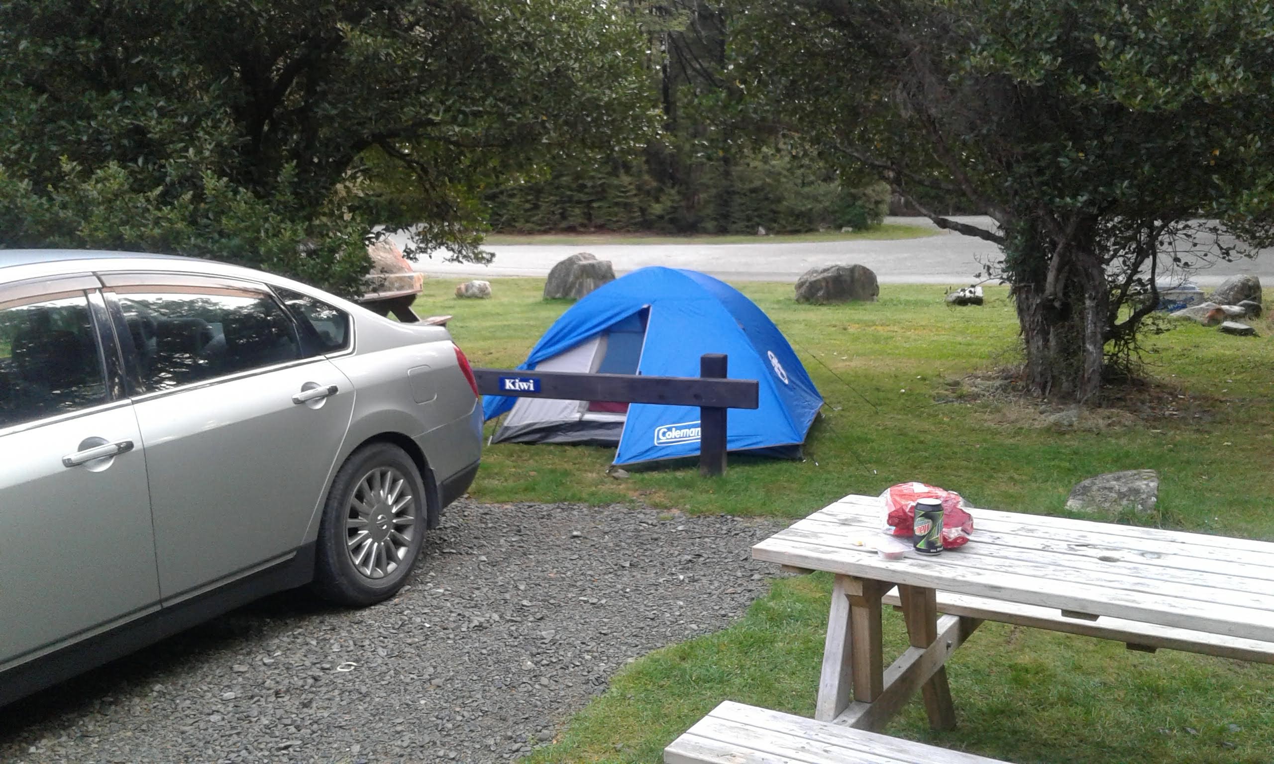 Tramping in the New Zealand backcountry NZ Bush Adventures New