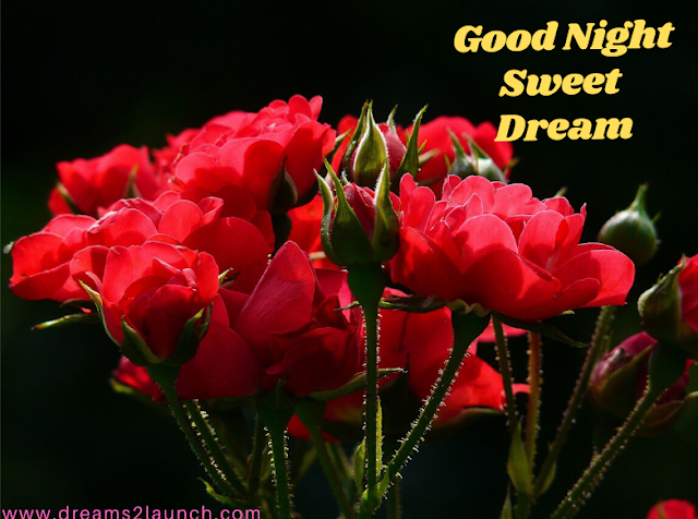 good night red rose