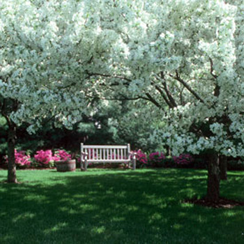 X Casas Decoracion X: Diseñando tu Jardín