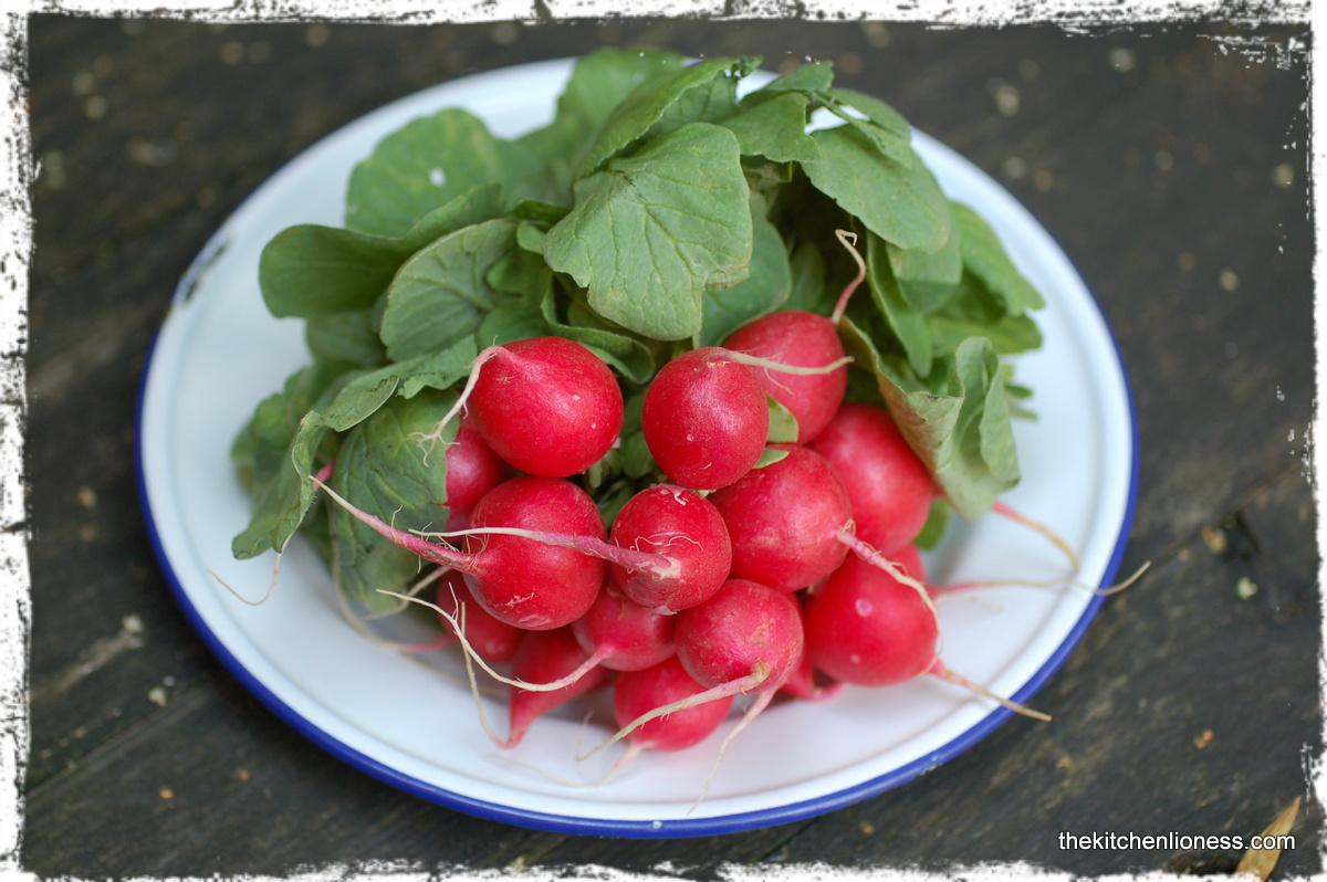 The Kitchen Lioness Radish Dip The Colors of Summer and a Retro Feeling