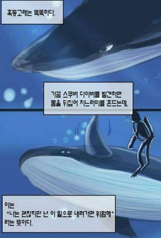 엑소, 우주, 그리고 혹등고래 | 인스티즈