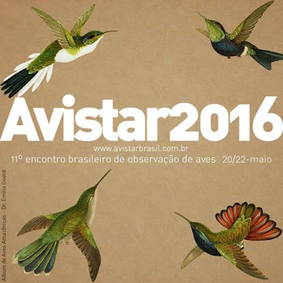 Tocantinenses estarão no Avistar 2016: maior evento de observação de aves da América Latina, com exposições, palestras e oficinas para crianças e adultos, será realizado entre os dia 20 e 22 de maio. Avistar 2016, avistar, instituto Butantan, observação de aves, passarinhar, observatório de aves instituto butantan, Tocantins, aves, birding, birdwatching, vem passarinhar