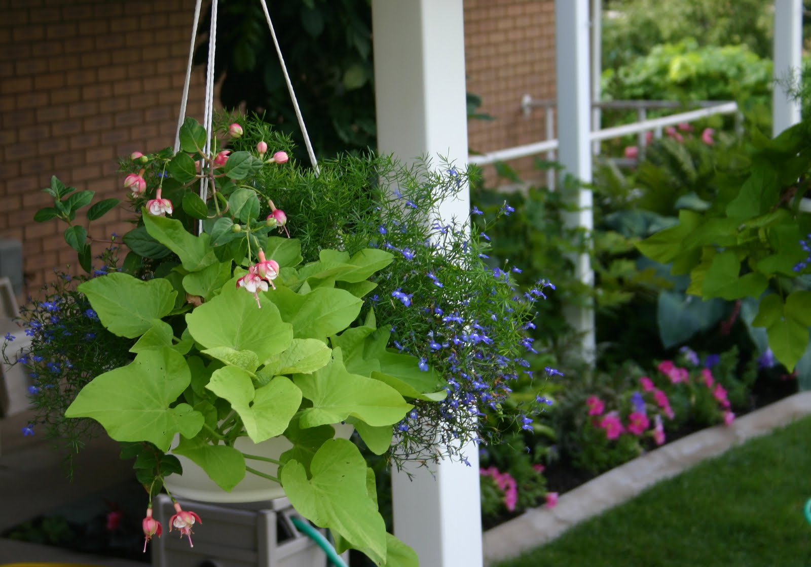 WALL HANGING PLANTER BOXES SO EASY TO MAKE, AND BEAUTY TO ENJOY