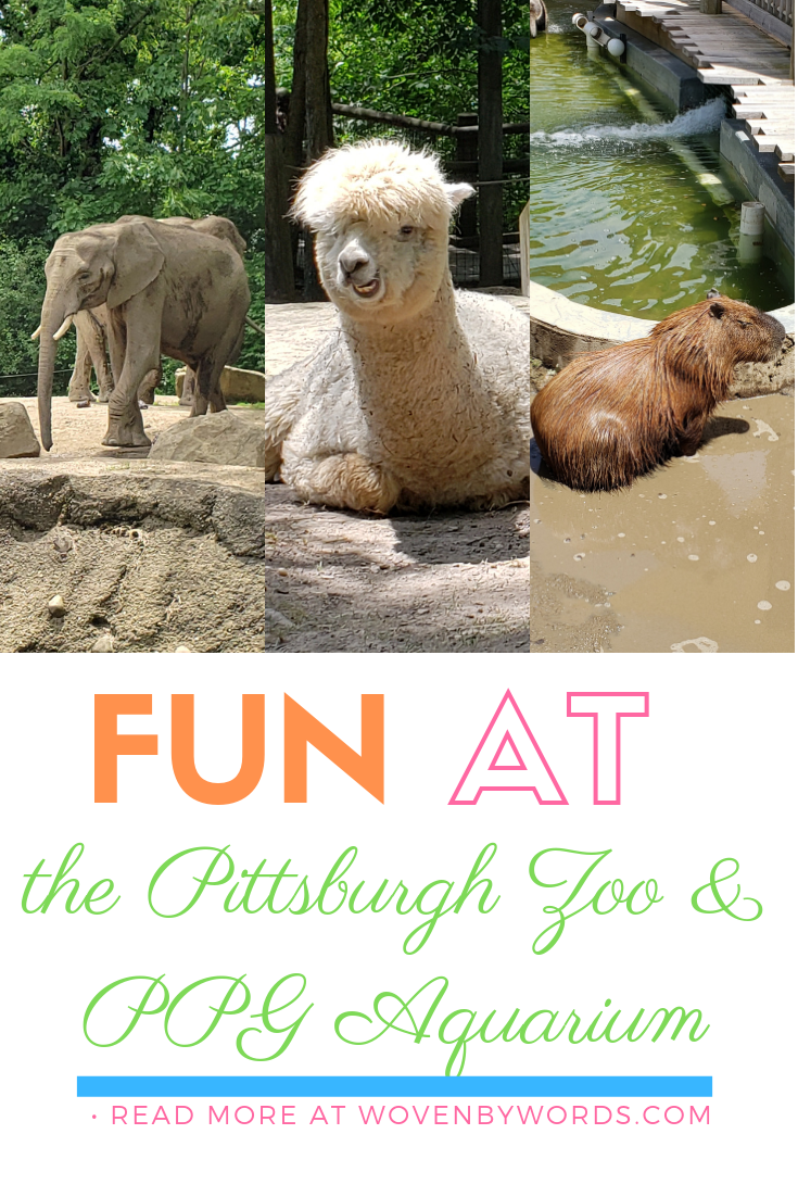 Woven by Words Visit Pittsburgh Zoo & PPG Aquarium