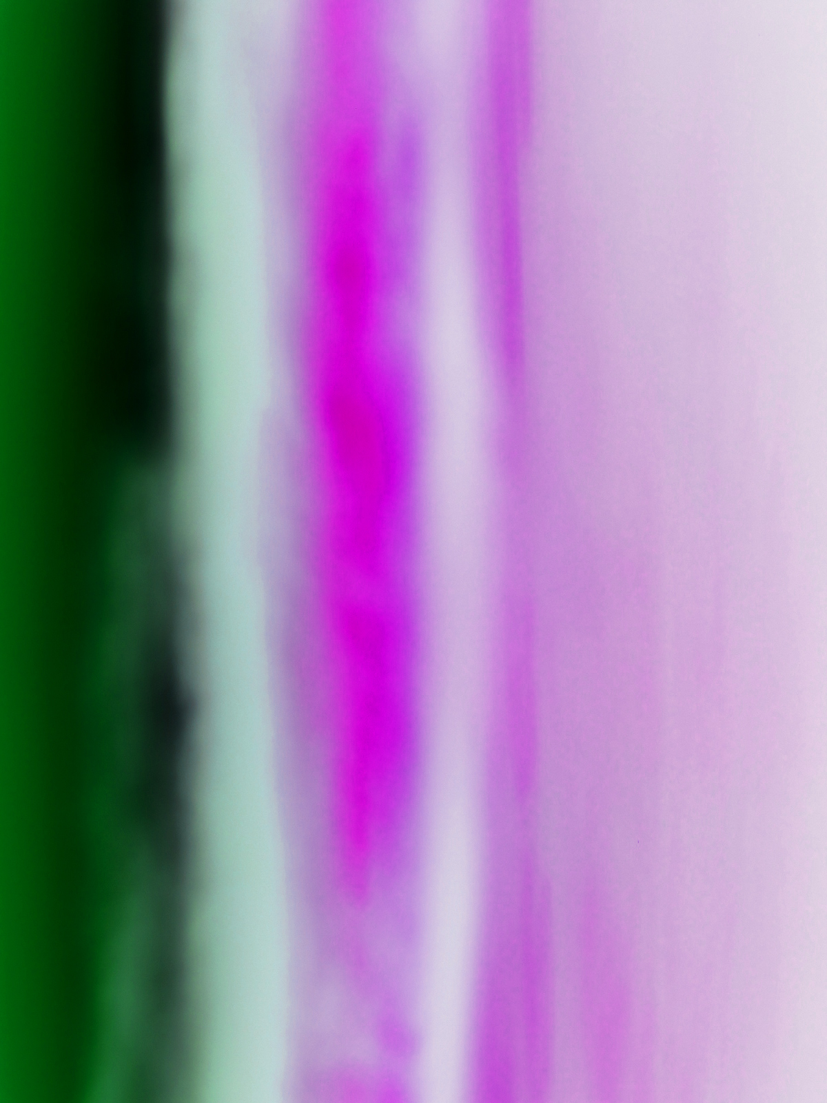 ROYGBIV UNTITLED pink/green/orange/blue