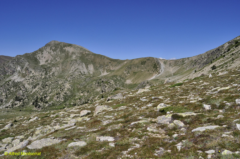Notes de Camp Pic del Sirvent, 2.722 m. (Lles de Cerdanya)