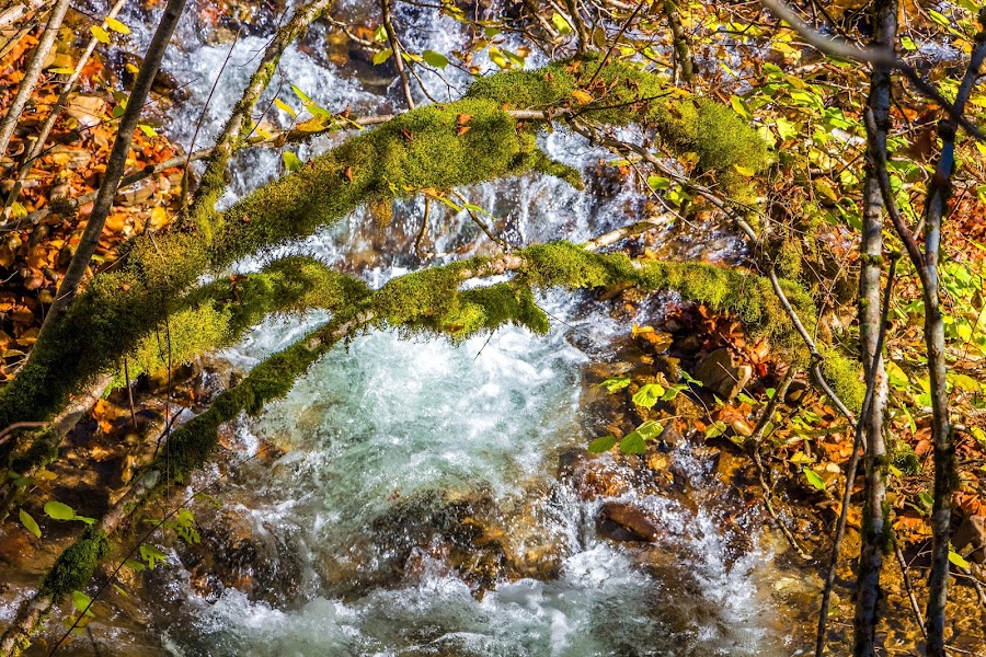 España, Navarra, Pirineo