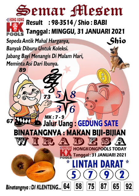 Welcome To Prediksi Alam Kode Syair Hongkong 31 Januari 2021