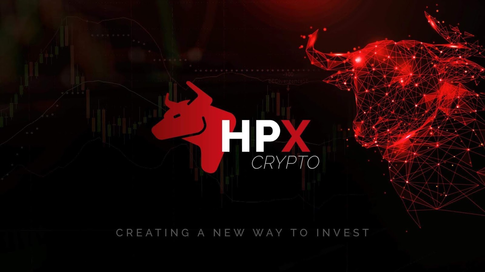 Saiba tudo sobre a HPX Crypto | Foco Dinheiro
