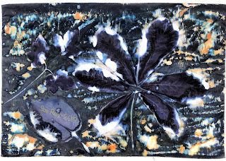 Wet cyanotype -Sue Reno_Image 631