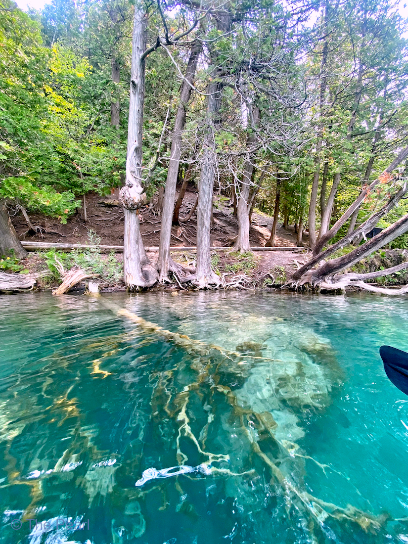 Life in the Slow Lane (The Pearl) Green Lakes State Park