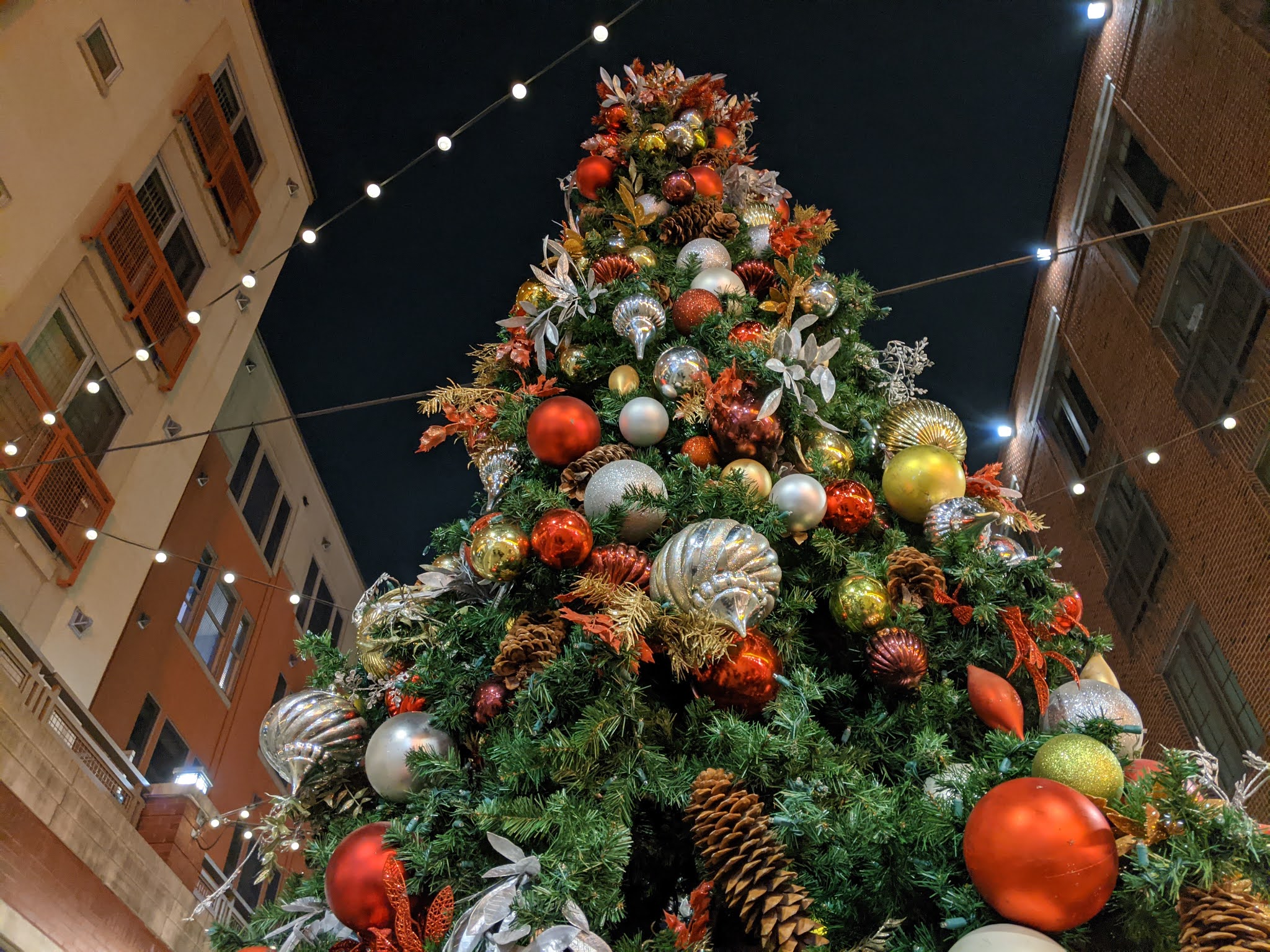 Robert Dyer Bethesda Row It's beginning to look a lot like Christmas