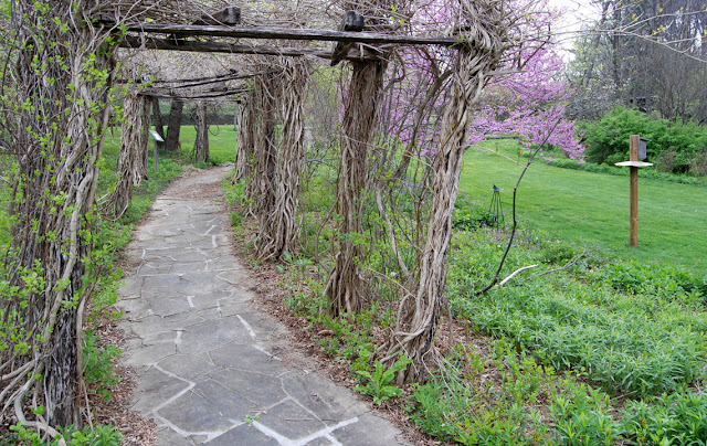 Wedding Venues Boone Nc Daniel Boone Native Gardens Wedding Venues Boone Nc Daniel Boone Native Gardens