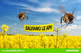 Salviamo le api!