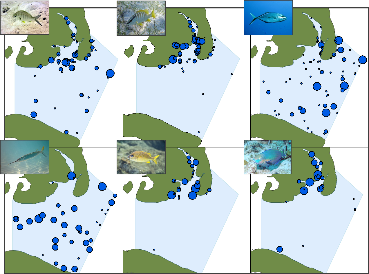 When Life Gives You Lemons...Take DNA! Follow the Food Reading the
