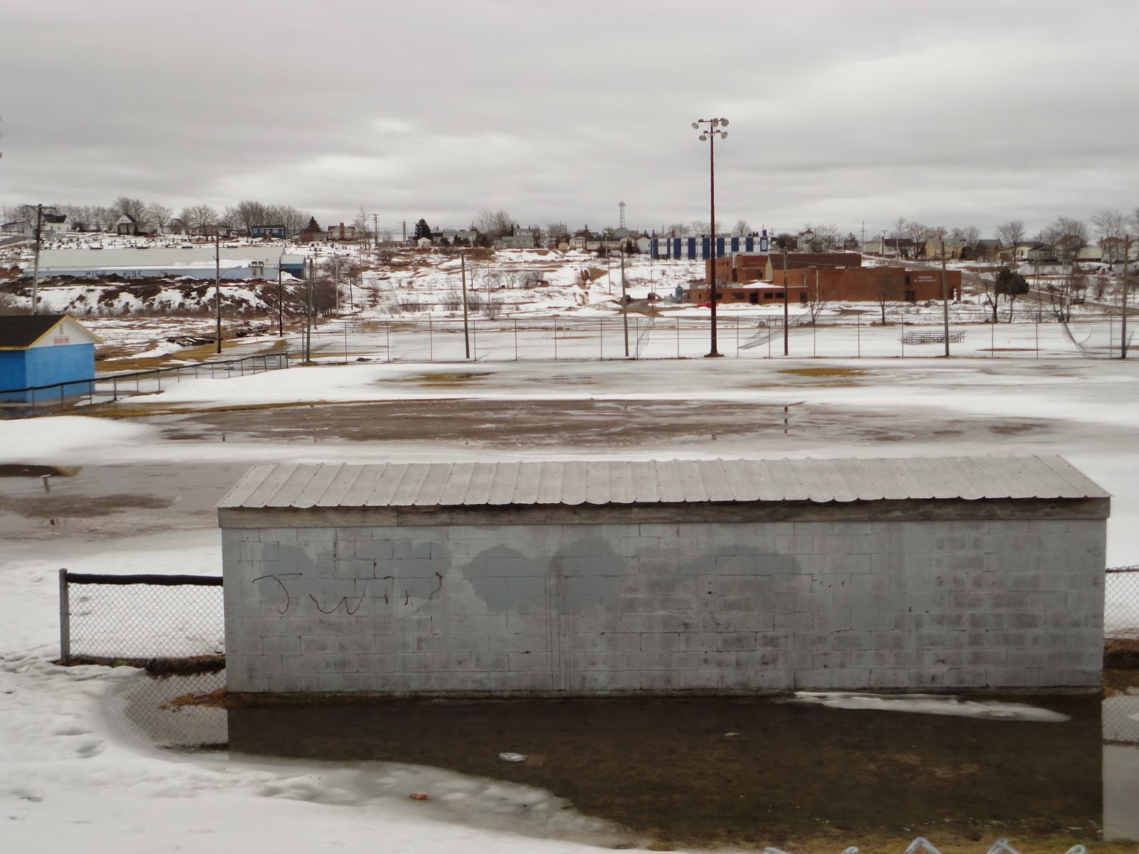 Whitney pier memorial junior high homework image