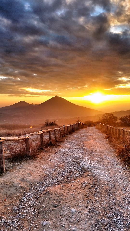 arquà petrarca cosa vedere