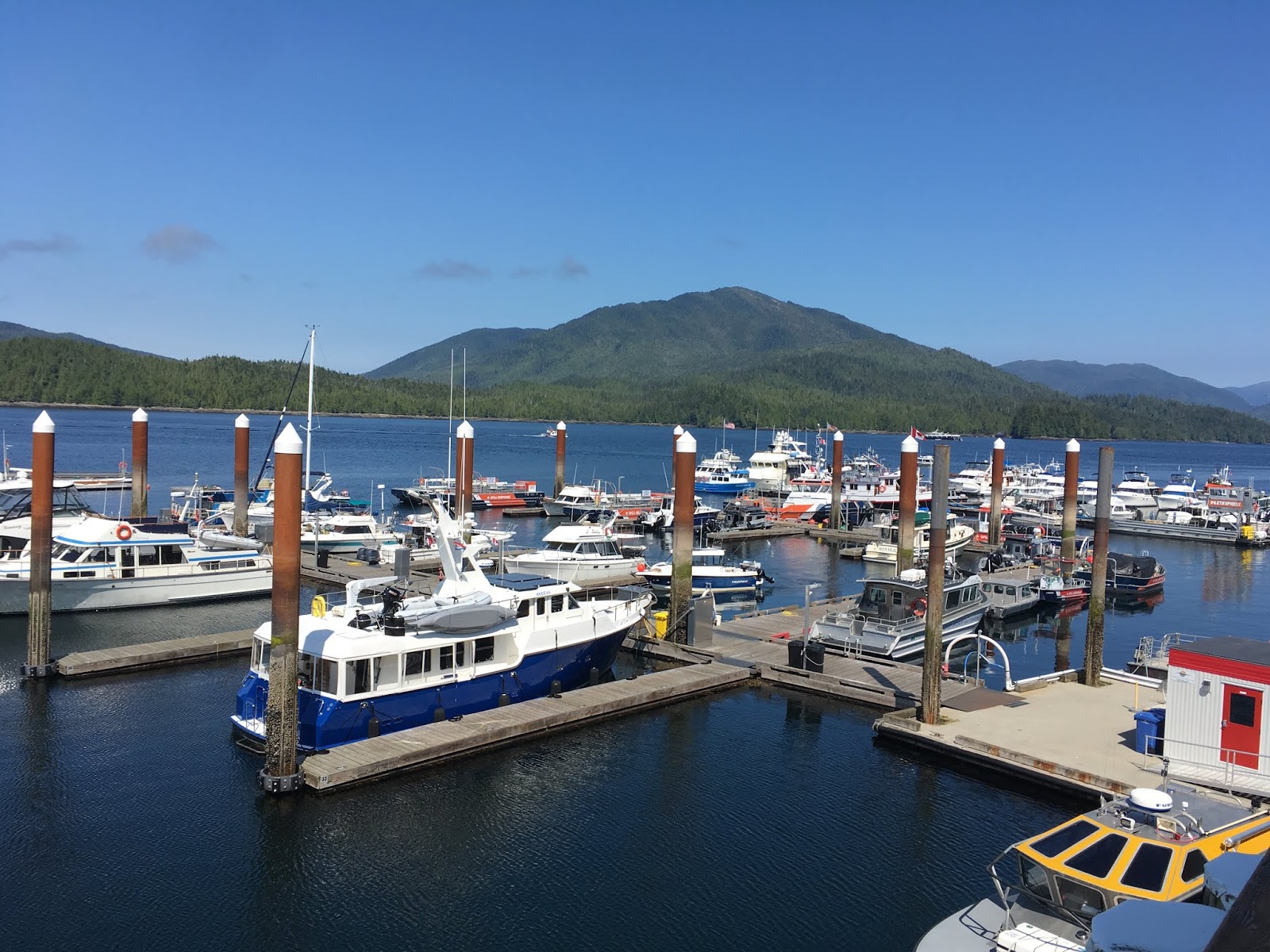 North Coast Review Cow Bay Marina Revenues remain low through June