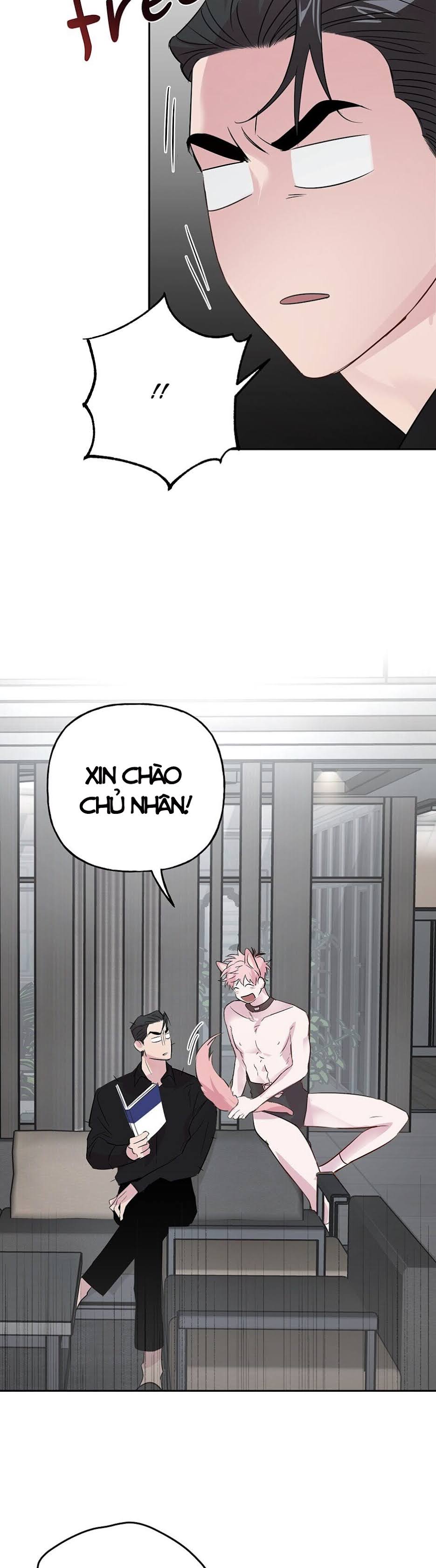 Đọc truyện Assorted Wildness - Chapter 24