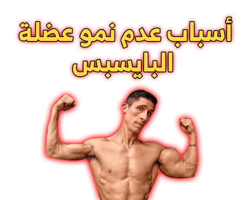 تمارين البايسبس