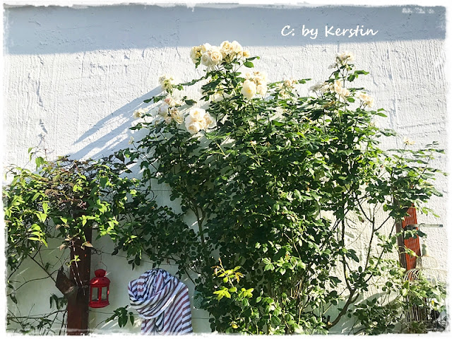 Diy Vogelfutter Selber Machen Fashion Kitchen