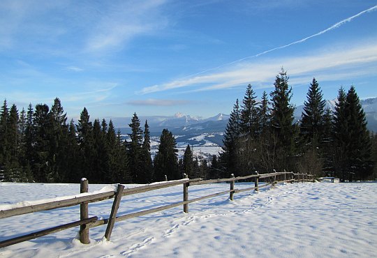 Południowo-wschodnie zbocze Gubałówki.