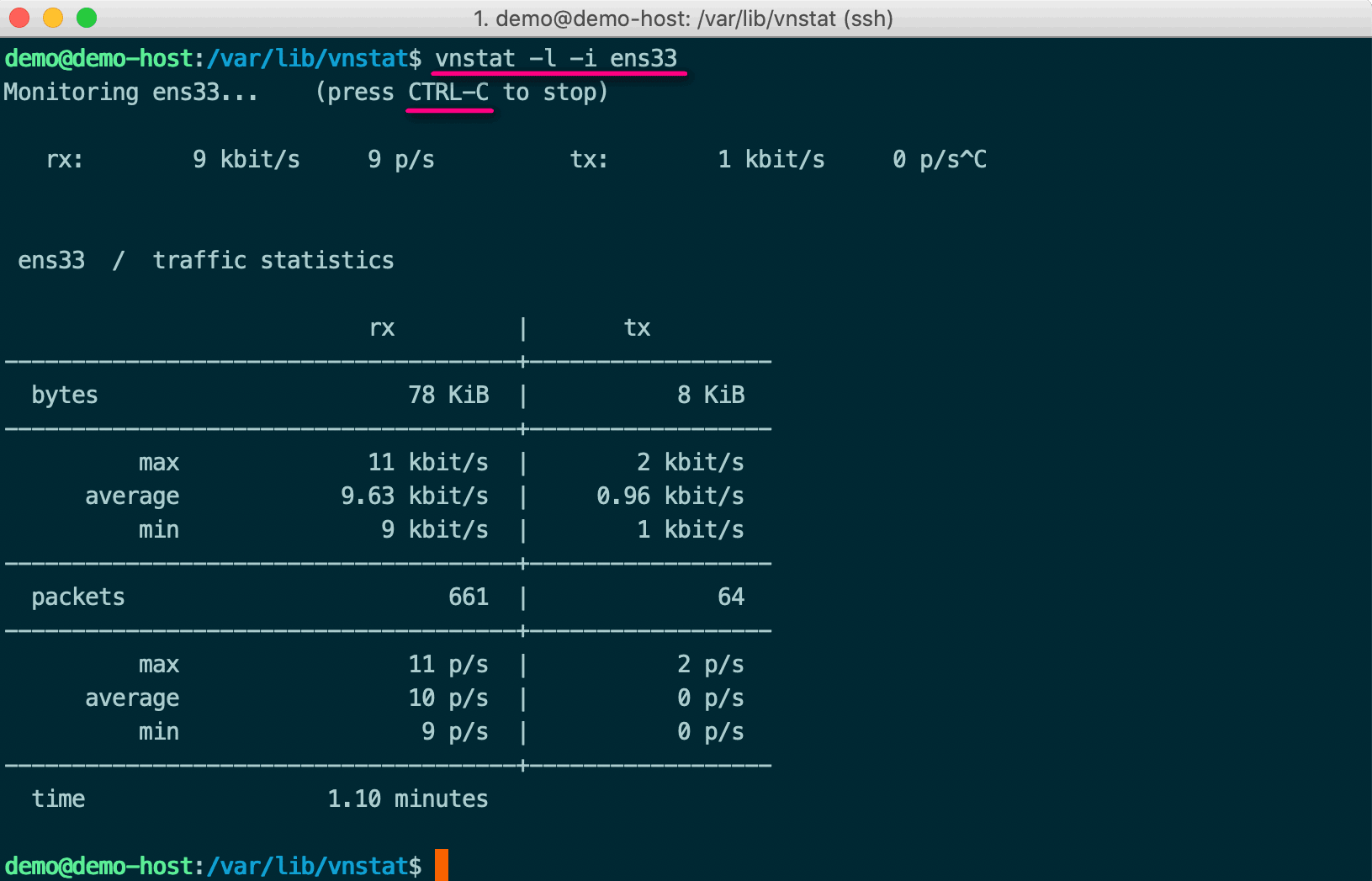 vnStat 查看即時流量