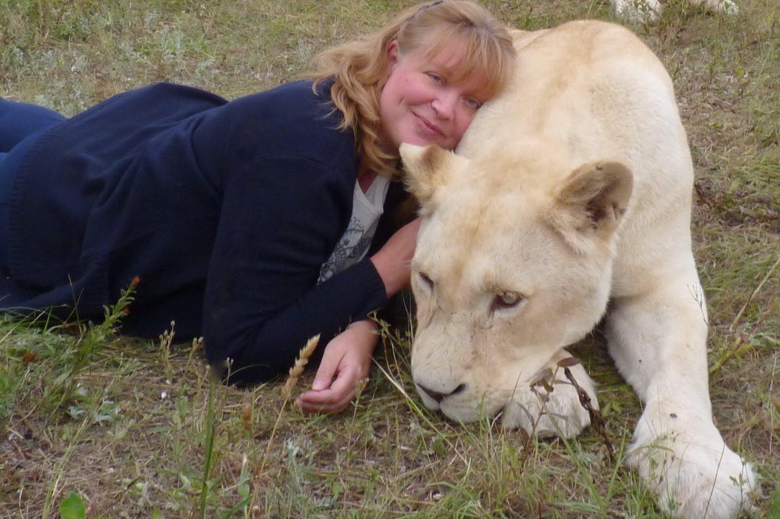 герда тигрова магнитогорск фото. тайган что с львицей гердой. львица тайган. львица герда и олег зубков. фото львицы герды в парке тайган.
