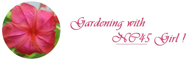 Gardening with NC45 Girl