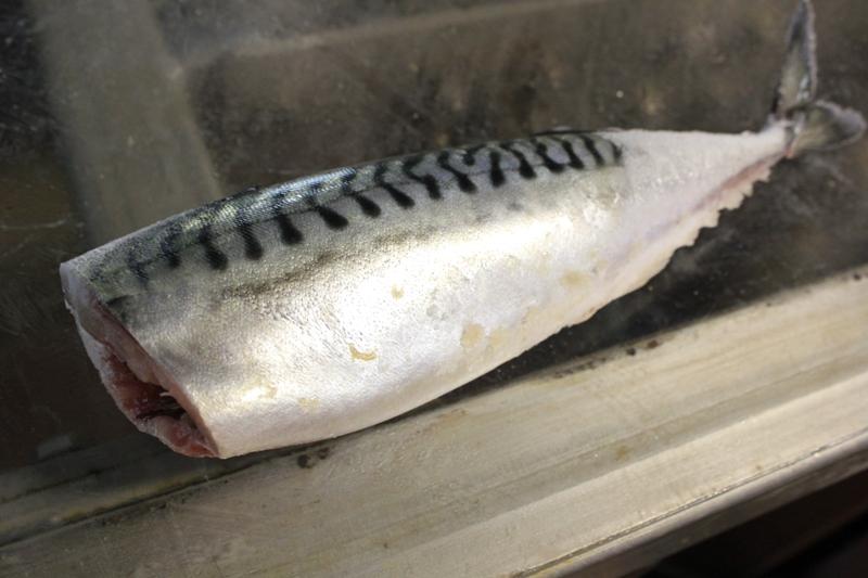 Why Buying Mackerel Hg Fish Product? Mackerel Fish Frozen, Frozen