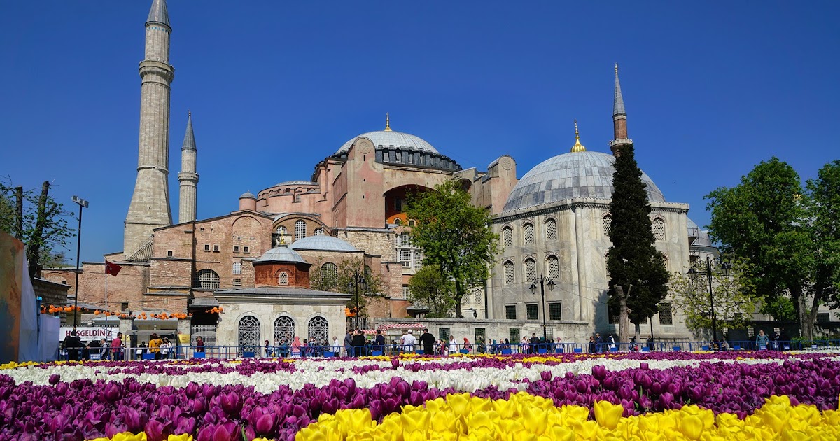 Indahnya Berkeliling Turki Untuk Lihat Bunga Tulip Warna Warni