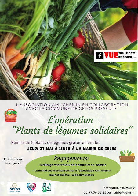 Opération Plants de légumes solidaires Gelos