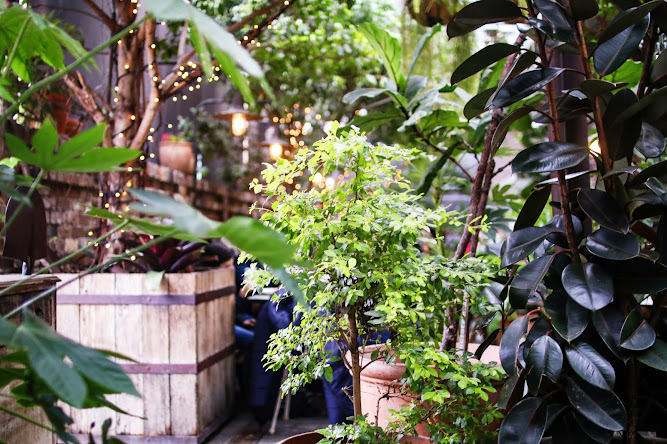 The Potting Shed Alexandria