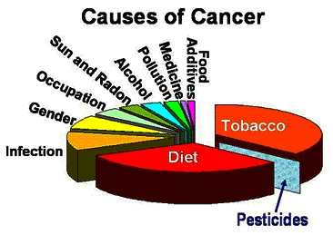 Cancer disease