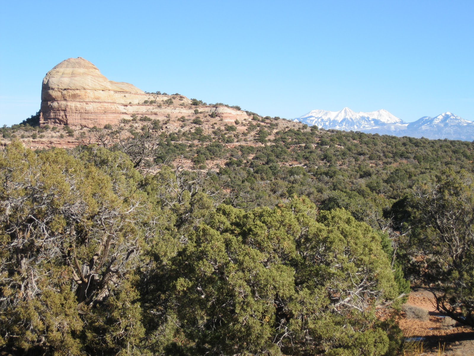 Four Corners HikesCanyonlands Horsehead Rock in Canyon Rims