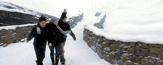 350b90c3d44feda4578ac7d37fad4863a13ce351