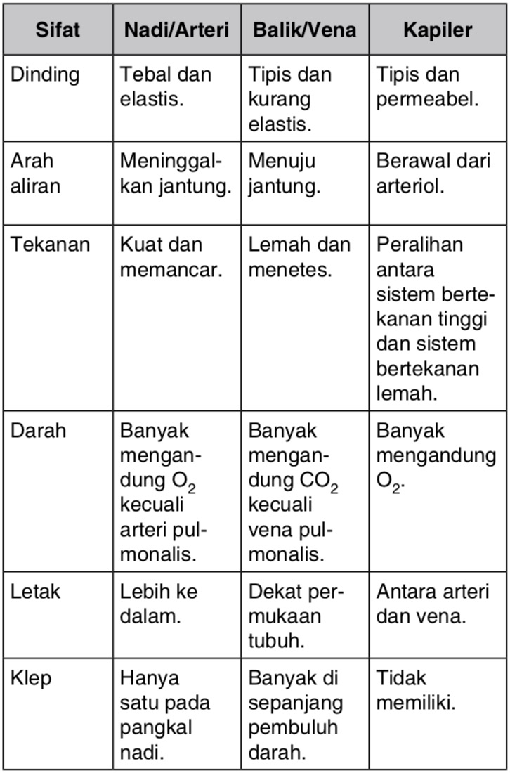 Ada Berapa Macam Pembuluh Darah Pada Manusia Jelaskan Perbedaan Pembuluh Darah Mas Dayat