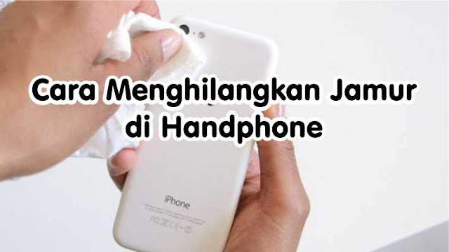 Cara Menghilangkan Jamur di Handphone - HP atau handphone saat ini sudah menjadi kebutuhan primer bagi sebagian orang. Sayangnya, banyak yang tidak menyadari atau cenderung cuek terhadap perawatan Handphone itu sendiri Contohnya seperti tumbuhnya jamur di bagian body atau Casing. 