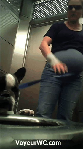 Women get filmed pissing in the restroom (Metal street toilet 03)