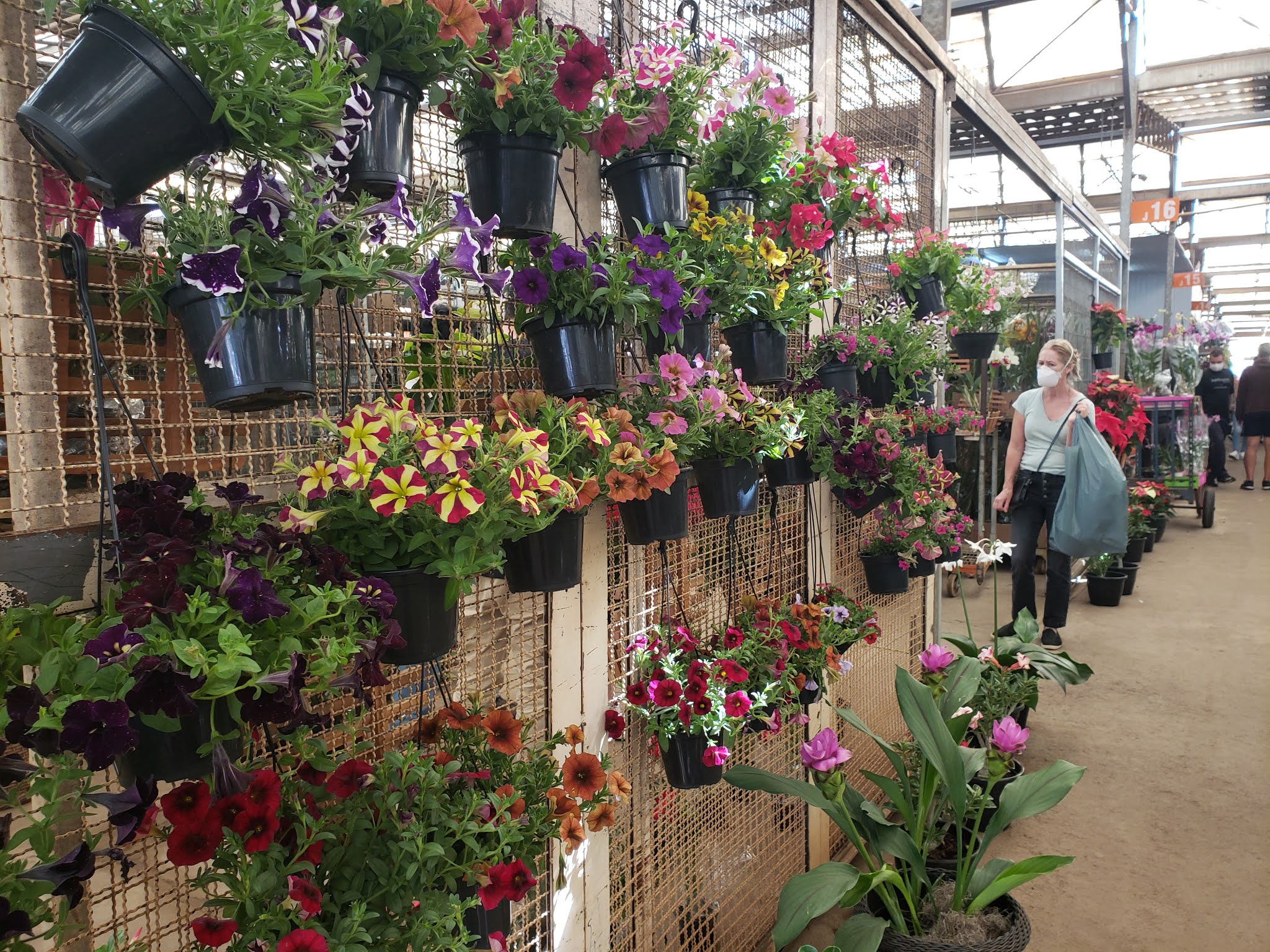 O Mercado de Flores da Ceasa é maravilhoso e eu posso provar — Blog da Hida