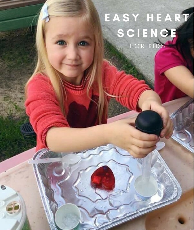 Toddler Approved! Easy Frozen Heart Science Activity for Toddlers and