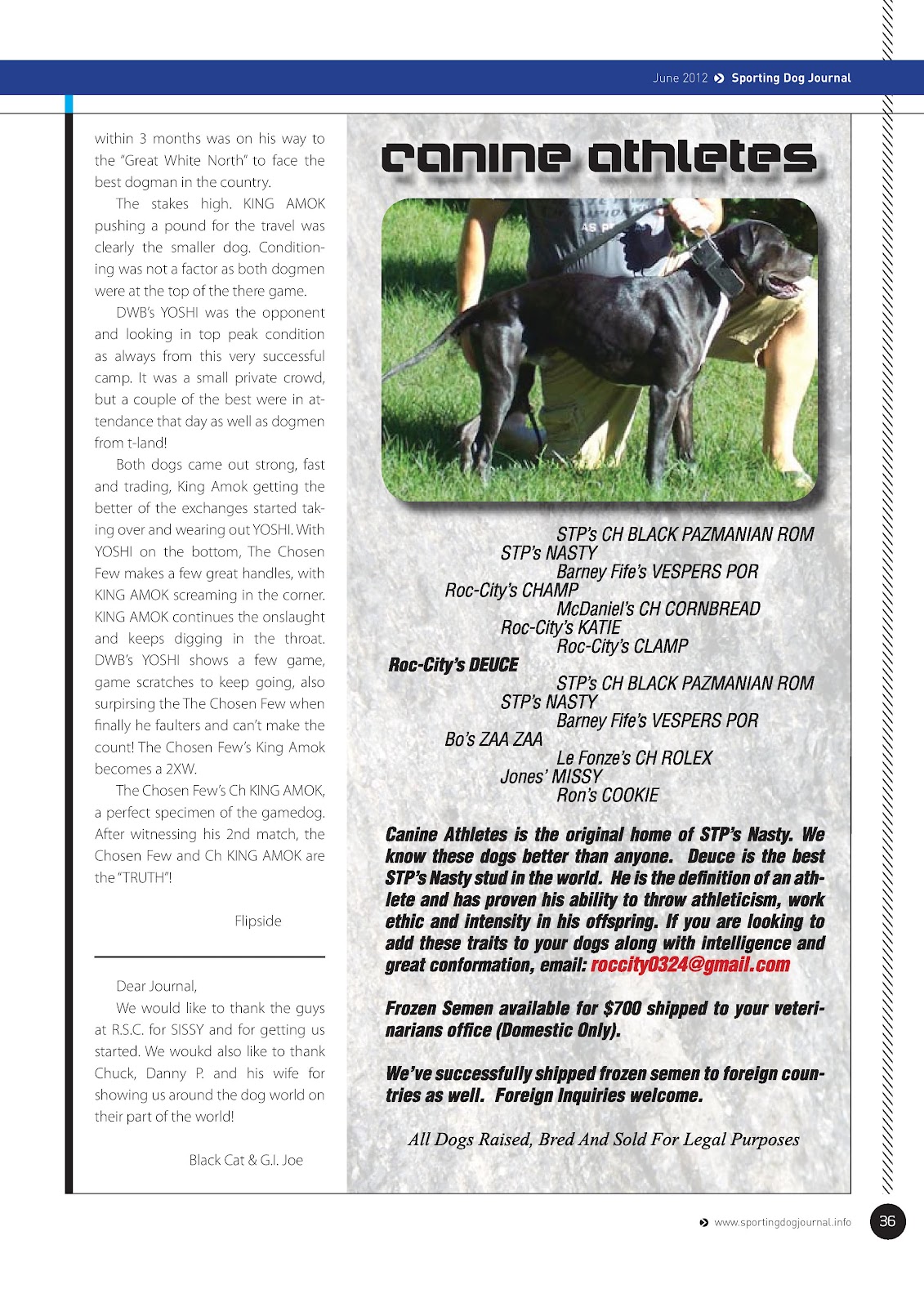 Game Dog World SPORTING DOG JOURNAL JUNE/2012