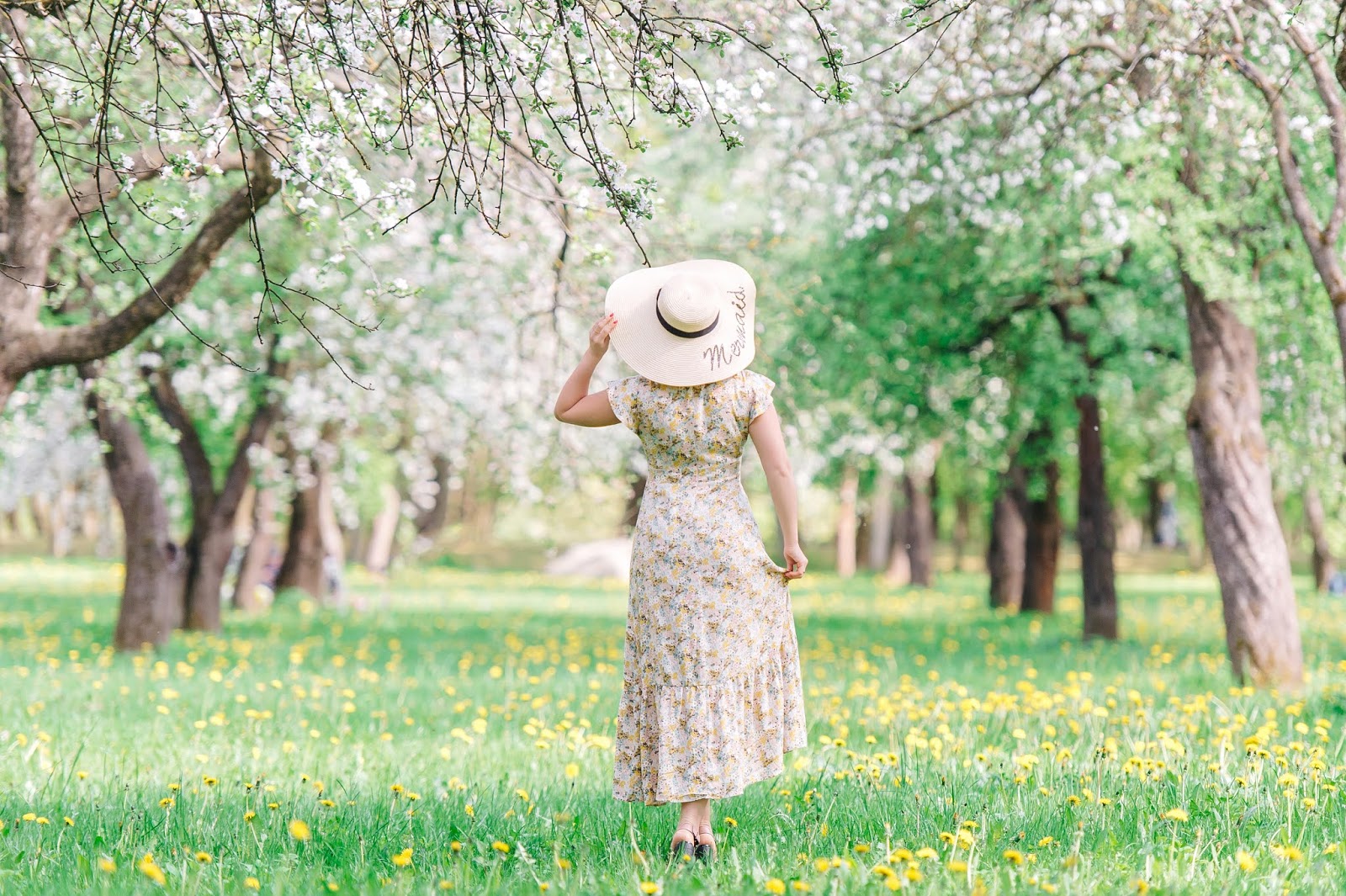 В саду гуляет ветер. Девушка в цветущих садах в соломенной шляпе. Гулять по саду. Девушка идет по цветущему саду. Девушка в цветущем летнем саду гуляет.