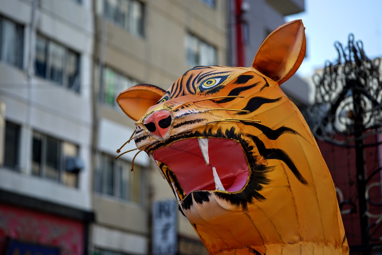DSC07294.JPG
