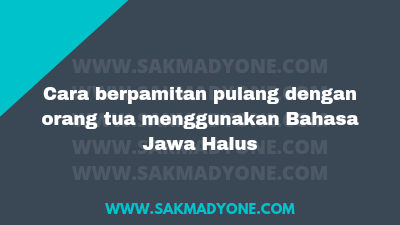 Cara Berpamitan Pulang Dengan Orang Tua Pacar Bahasa Jawa Halus - Sakmadyone.com