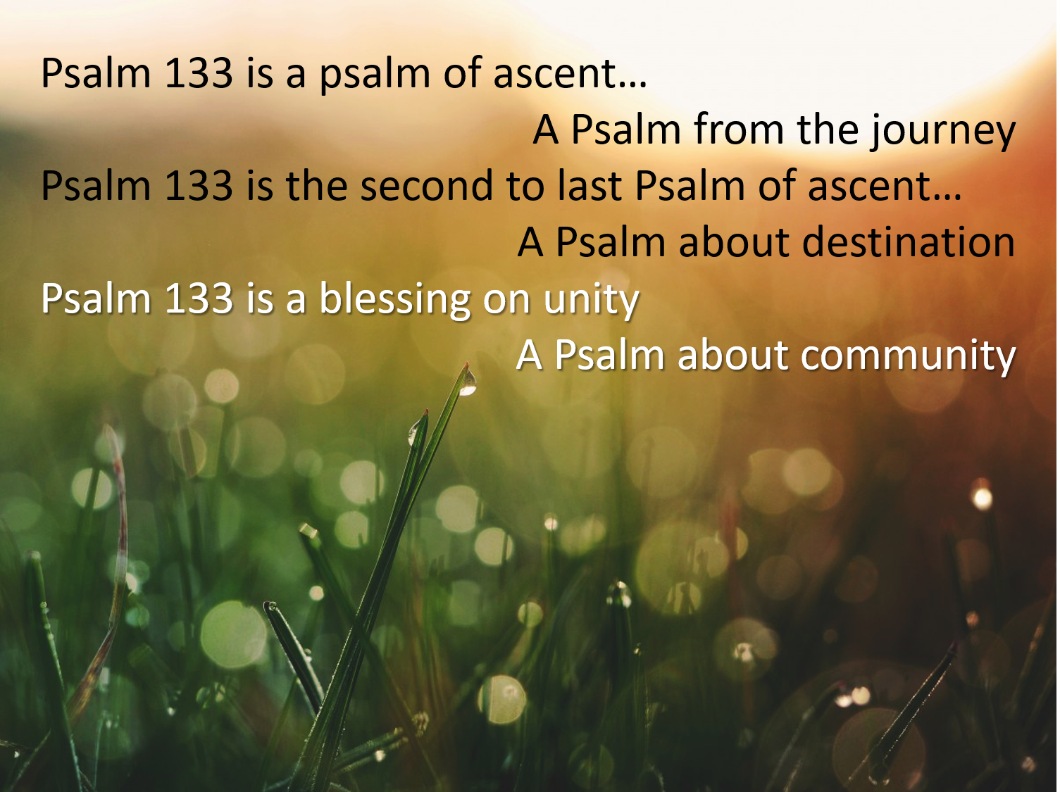 HOW IN THE WORLD Psalm 133 And The Spiritual Discipline Of Community how-in-the-world-psalm-133-and-the-spiritual-discipline-of-community