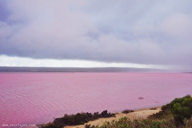 australia perth wa pink lake Hutt Lagoon 